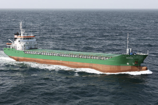 Cargo ships (≥ 500 GT)